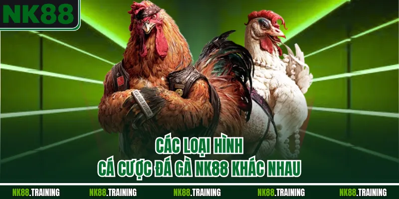 Các loại hình cá cược đá gà NK88 khác nhau