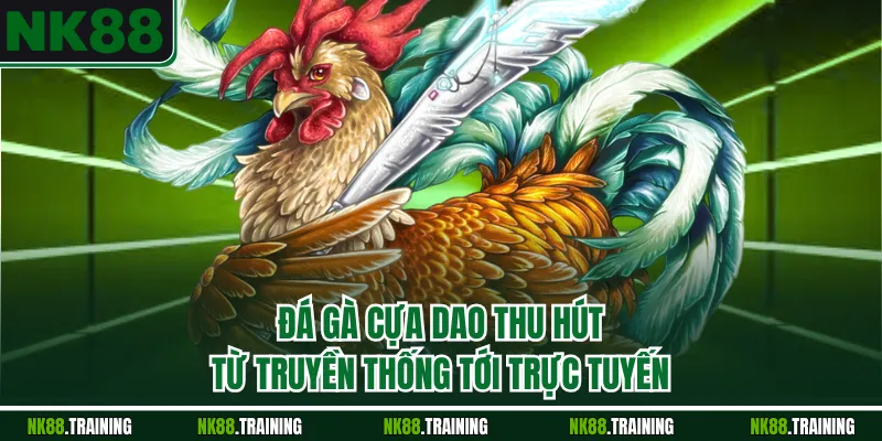 Đá gà cựa dao thu hút từ truyền thống tới trực tuyến